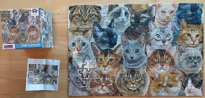 Cat Lovers