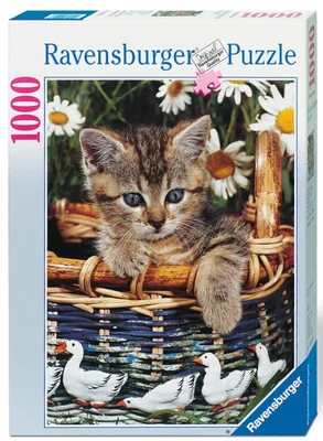 Chaton dans un panier