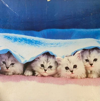 Peek-A-Boo!