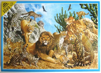Cats of Mountain, Plain & Desert