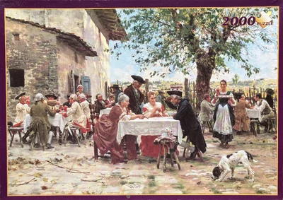 The Game of Cards
