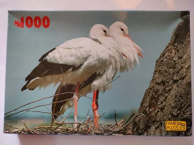 White storks