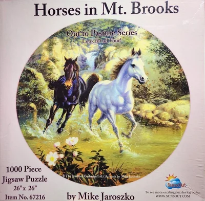 Horses in Mt Brooks