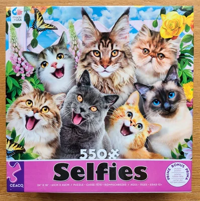Selfies