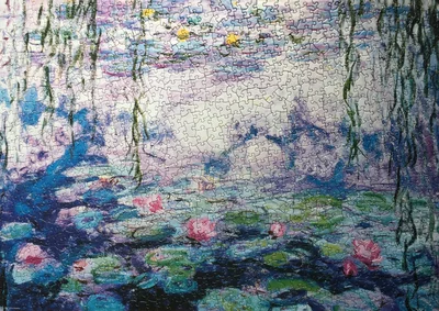 Water Lilies