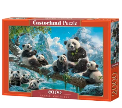 Pandas' Winter Fun