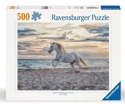 Cheval sur la plage