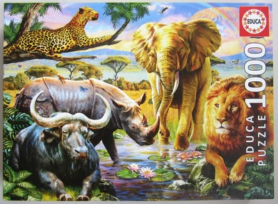 The Big Five