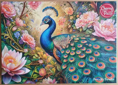Peacock's Paradise