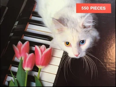 Cat On Keys