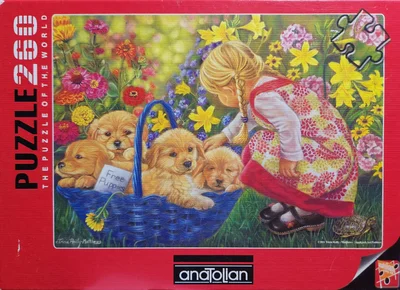 Basket Full of Love