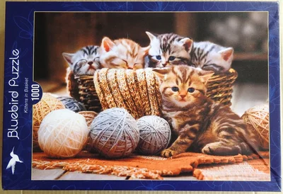 Kittens in Basket