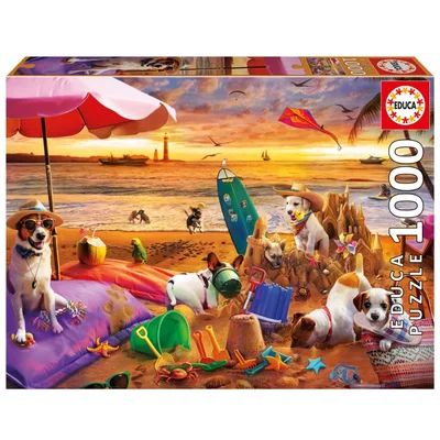 Dogs Playing At The Beach