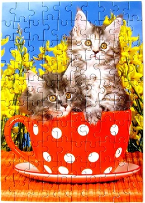 Kittens