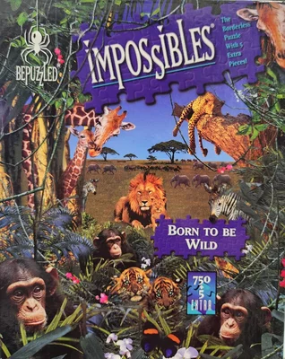 Born to be Wild