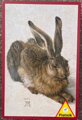 Young Hare