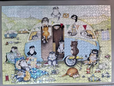 Crazy cats…at the caravan