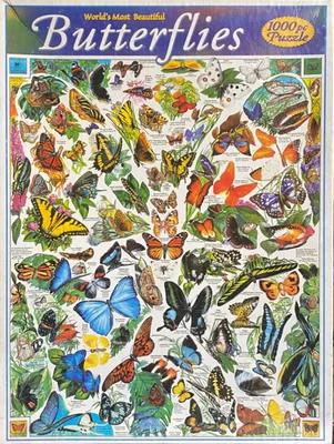 Butterflies