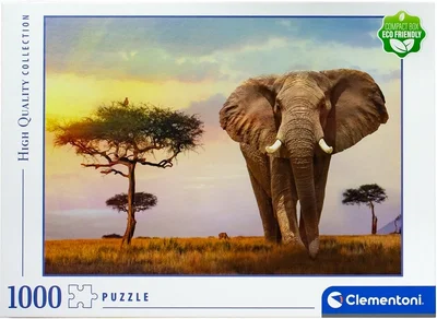 African Sunset