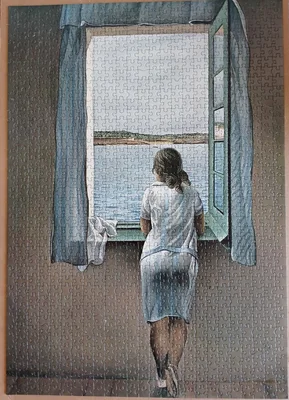 Girl at the Window