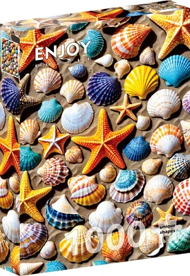 Beach Treasure
