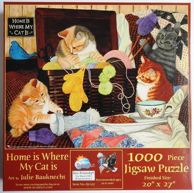 Home is Where My Cat is