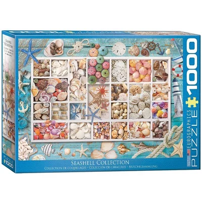 Seashell Collection