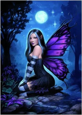 Night Fairy