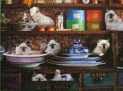 Country Store Kittens
