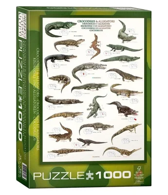 Crocodiles and Alligators