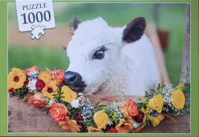 Adorable vache