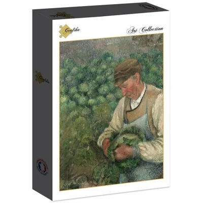 The Gardener - Old Peasant with Cabbage