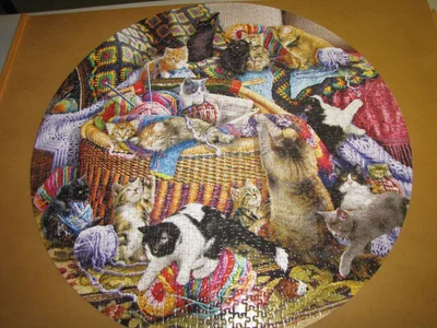 The Knitting Circle