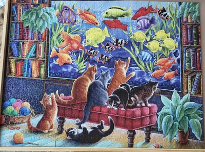 Kittens Fishing