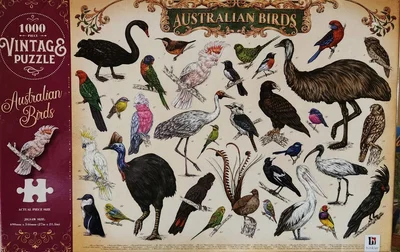 Australian Birds