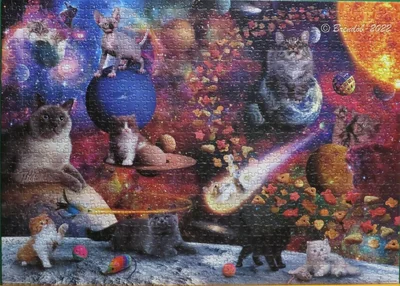 Galaxy Cats