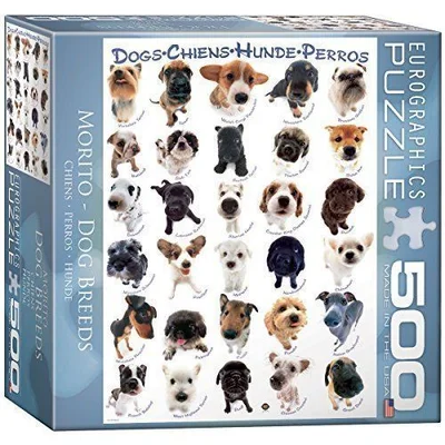 Dog Breeds