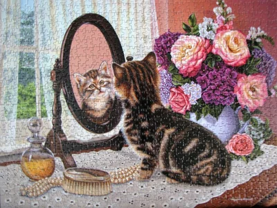 Mirror Image