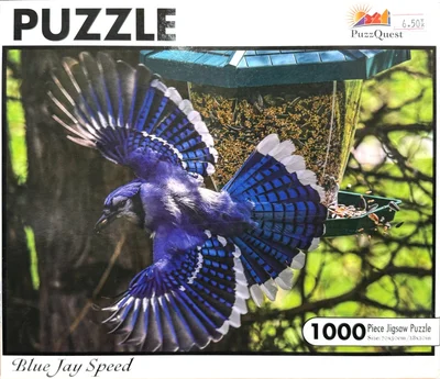 Blue Jay Speed