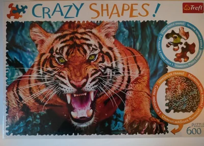 Facing a tiger