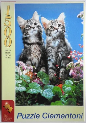 Two Kittens