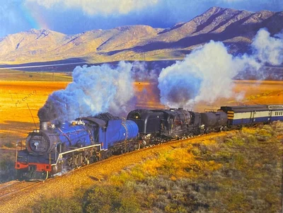 Train Trek