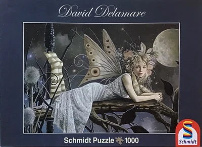 Dream Fairy