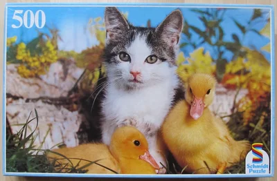 Cat With Ducklings