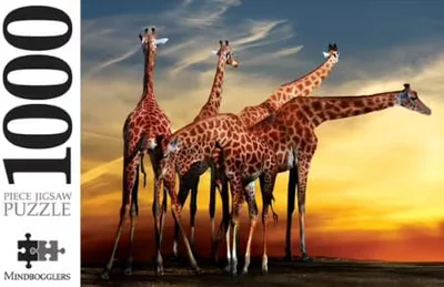 Giraffes, Open Air Zoo, France