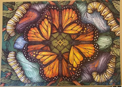 Monarch Butterfly
