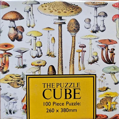 Champignons