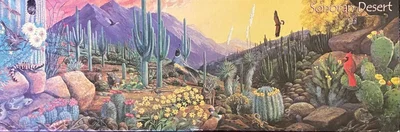 Sonoran Desert