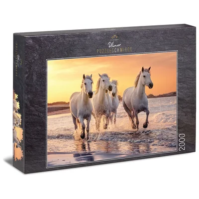 Camargue-Pferde