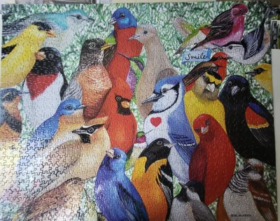 Birds, Birds, Birds
